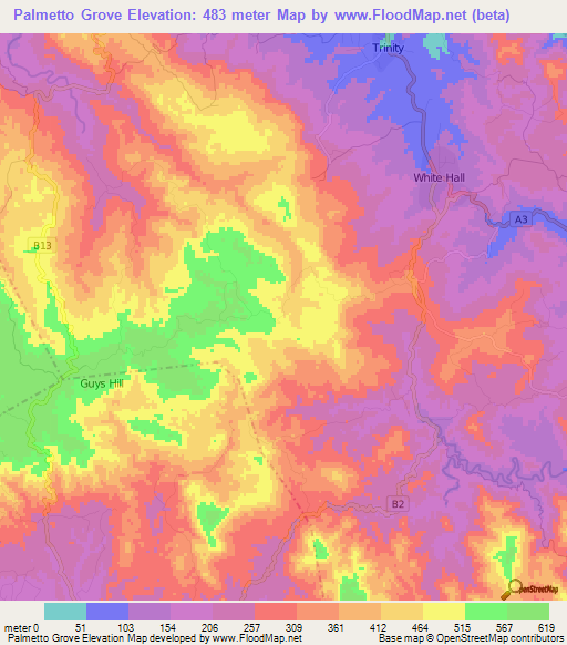 Palmetto Grove,Jamaica Elevation Map