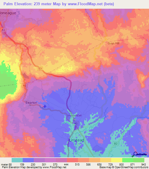 Palm,Jamaica Elevation Map