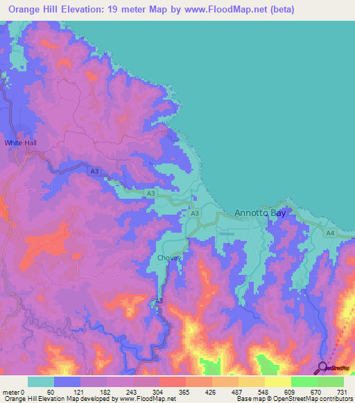 Orange Hill,Jamaica Elevation Map
