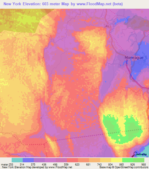 New York,Jamaica Elevation Map