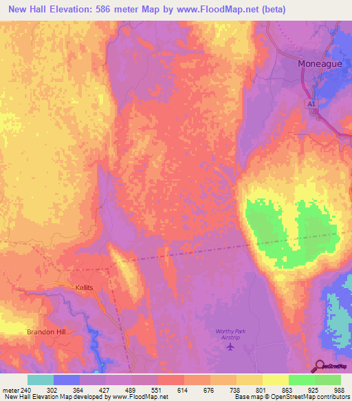New Hall,Jamaica Elevation Map