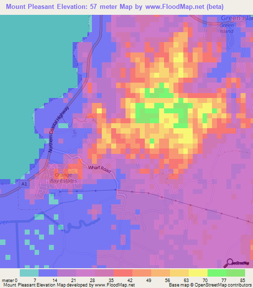 Mount Pleasant,Jamaica Elevation Map