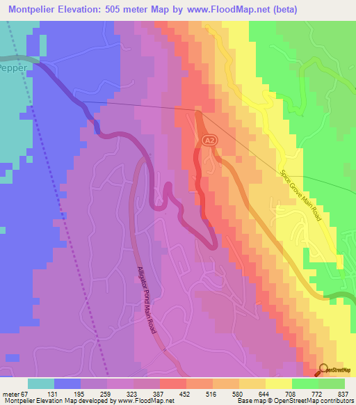Montpelier,Jamaica Elevation Map