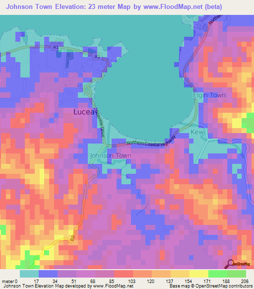 Johnson Town,Jamaica Elevation Map