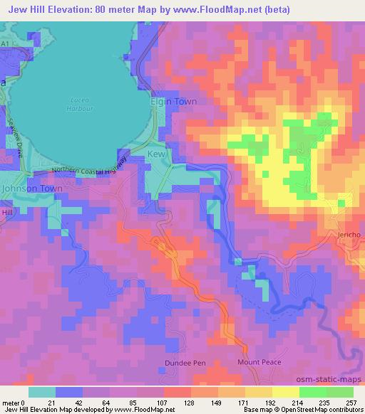 Jew Hill,Jamaica Elevation Map