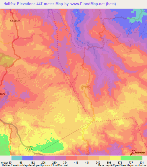 Halifax,Jamaica Elevation Map