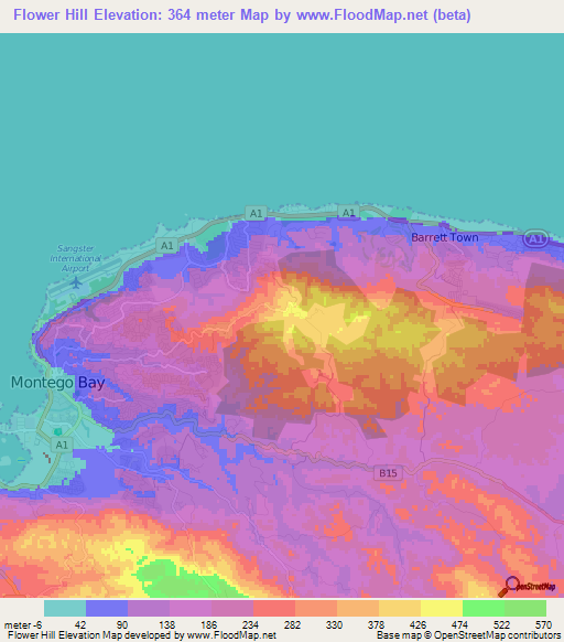 Flower Hill,Jamaica Elevation Map