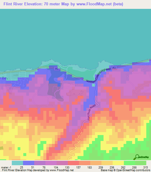 Flint River,Jamaica Elevation Map