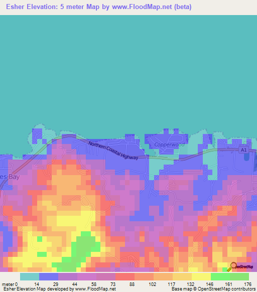 Esher,Jamaica Elevation Map