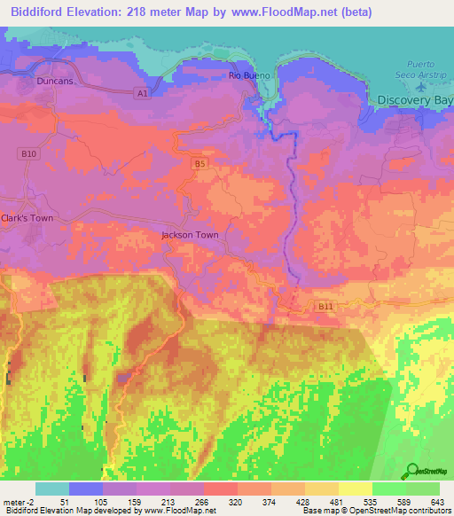 Biddiford,Jamaica Elevation Map