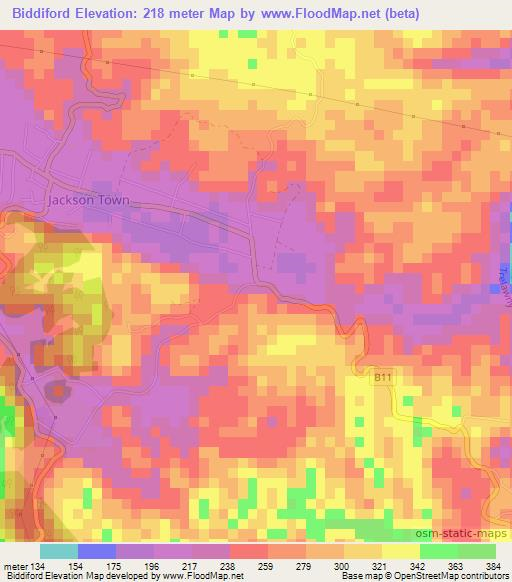 Biddiford,Jamaica Elevation Map