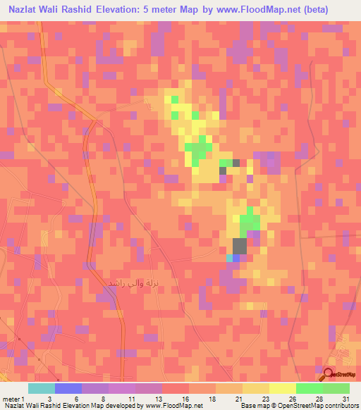 Nazlat Wali Rashid,Egypt Elevation Map