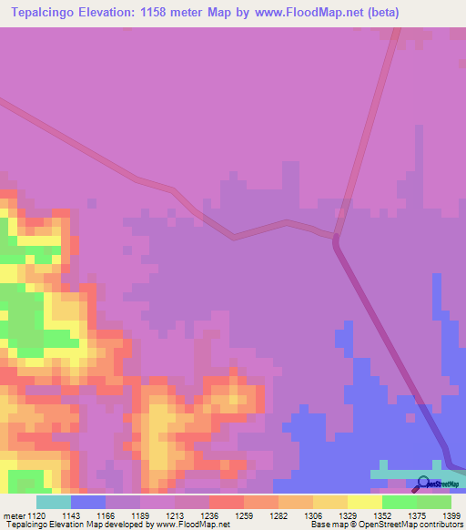 Tepalcingo,Mexico Elevation Map