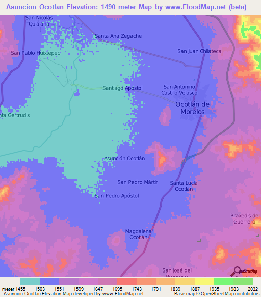 Asuncion Ocotlan,Mexico Elevation Map