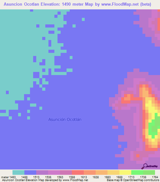 Asuncion Ocotlan,Mexico Elevation Map