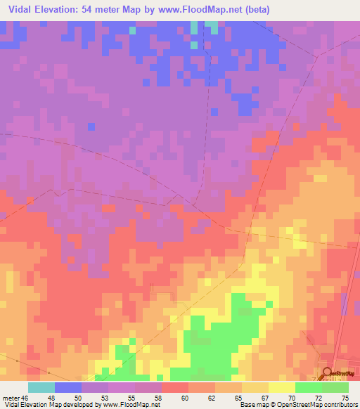 Vidal,Cuba Elevation Map