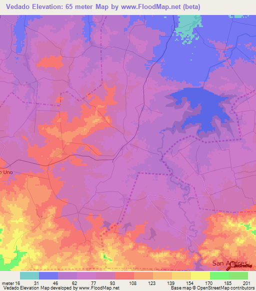 Vedado,Cuba Elevation Map