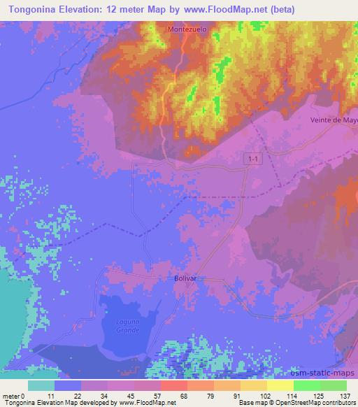 Tongonina,Cuba Elevation Map