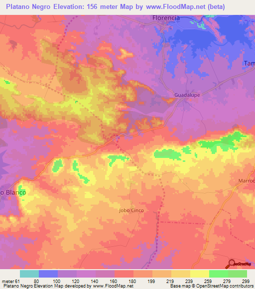 Platano Negro,Cuba Elevation Map
