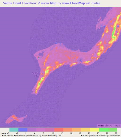 Salina Point,Bahamas Elevation Map