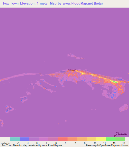 Fox Town,Bahamas Elevation Map