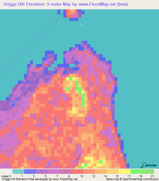 Driggs Hill,Bahamas Elevation Map