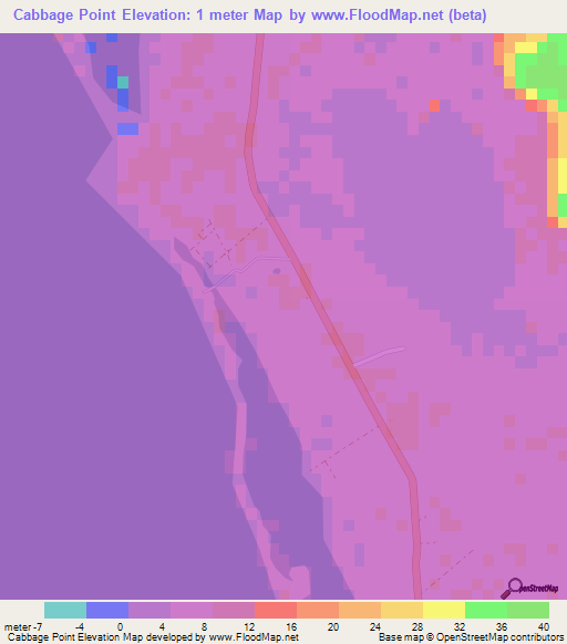 Cabbage Point,Bahamas Elevation Map