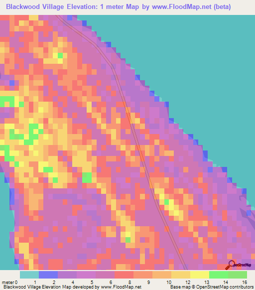 Blackwood Village,Bahamas Elevation Map