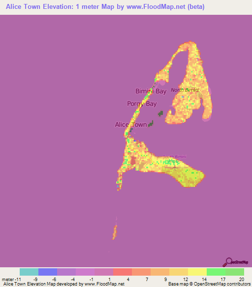 Alice Town,Bahamas Elevation Map