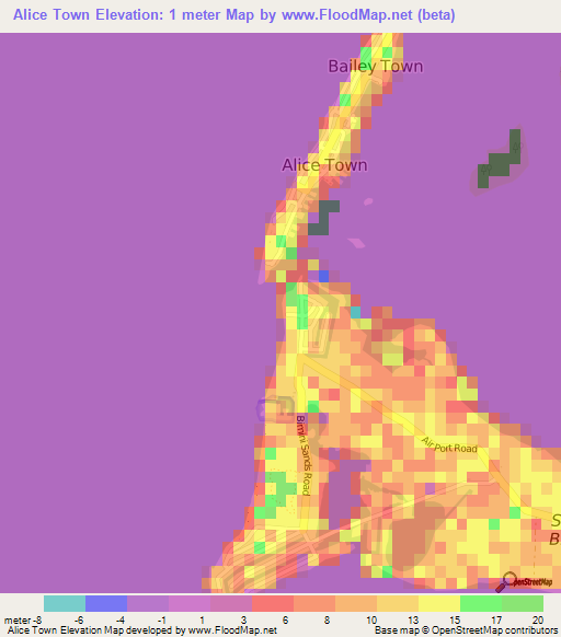 Alice Town,Bahamas Elevation Map