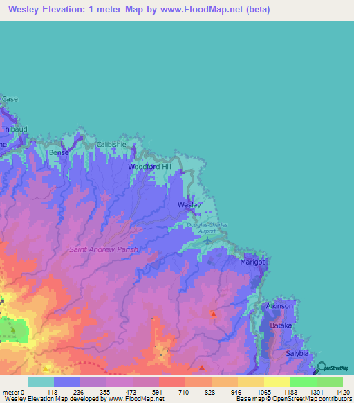 Wesley,Dominica Elevation Map