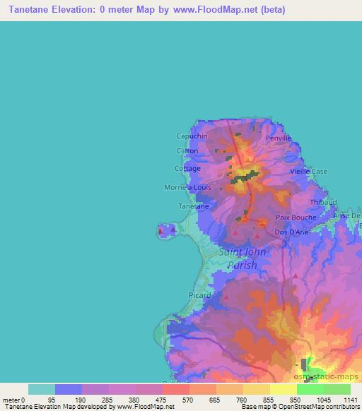 Tanetane,Dominica Elevation Map