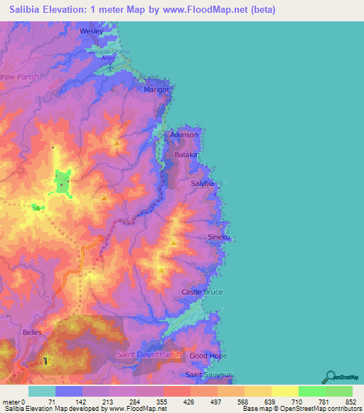 Salibia,Dominica Elevation Map