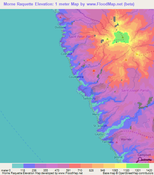 Morne Raquette,Dominica Elevation Map
