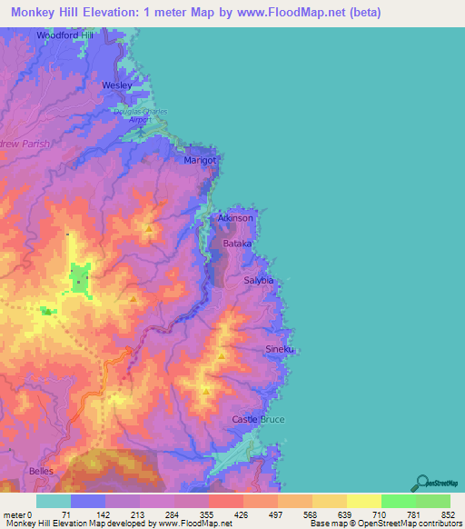Monkey Hill,Dominica Elevation Map