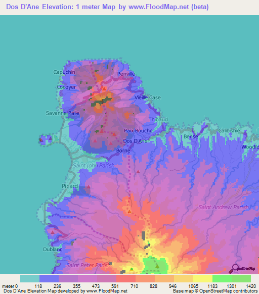 Dos D'Ane,Dominica Elevation Map