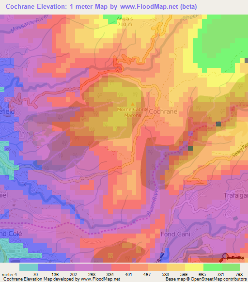Cochrane,Dominica Elevation Map