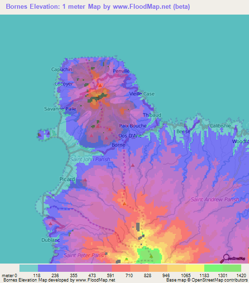 Bornes,Dominica Elevation Map
