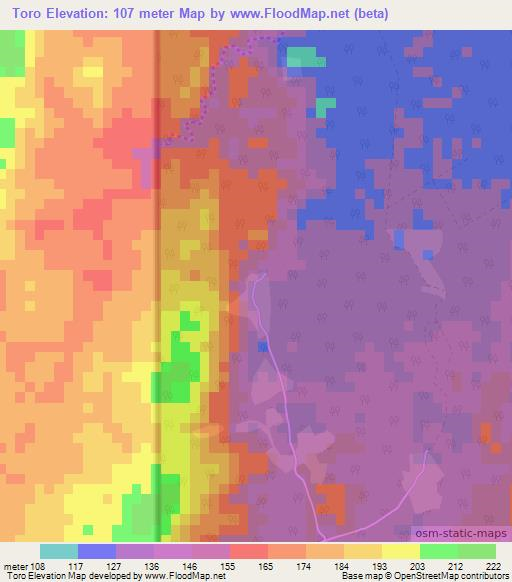 Toro,Belize Elevation Map