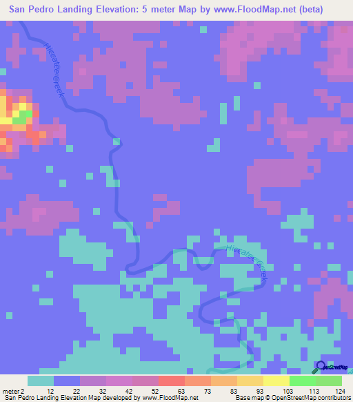 San Pedro Landing,Belize Elevation Map