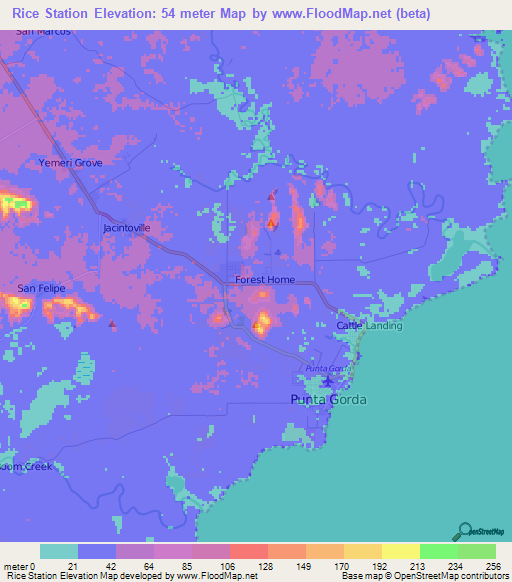 Rice Station,Belize Elevation Map