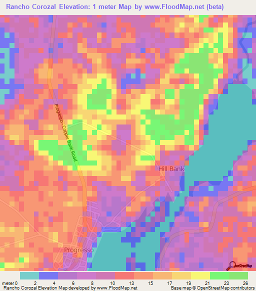 Rancho Corozal,Belize Elevation Map