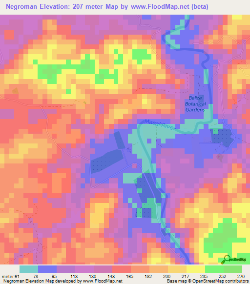 Negroman,Belize Elevation Map