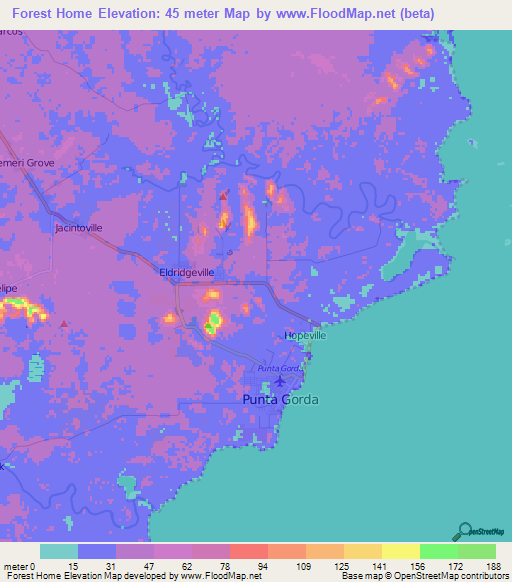 Forest Home,Belize Elevation Map