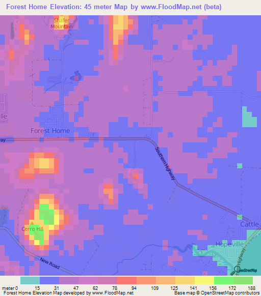 Forest Home,Belize Elevation Map