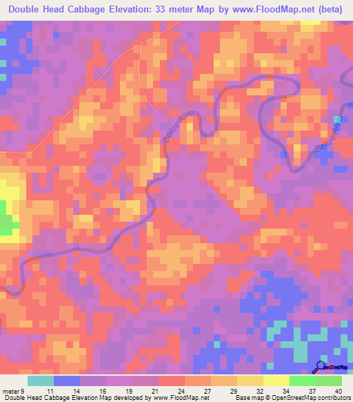 Double Head Cabbage,Belize Elevation Map
