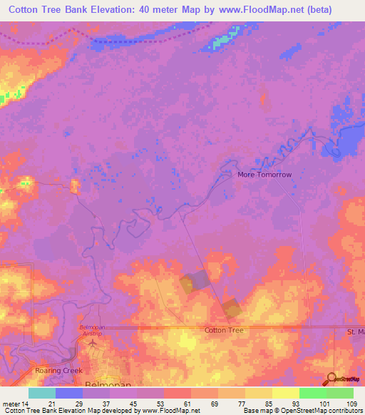 Cotton Tree Bank,Belize Elevation Map
