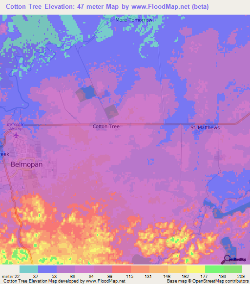 Cotton Tree,Belize Elevation Map
