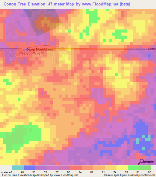 Cotton Tree,Belize Elevation Map