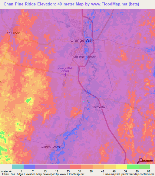 Chan Pine Ridge,Belize Elevation Map